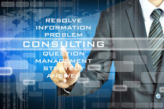 certified and experienced project management consultant