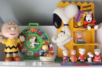 appraise a peanuts comic strip and snoopy collection