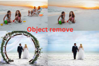 remove and add objects from your photo