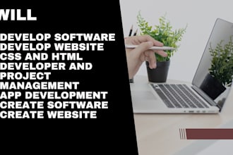 be software developer, create website, css developer and development of projects