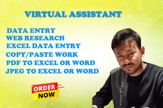 do accurate data entry, copy paste, pdf to excel image or word