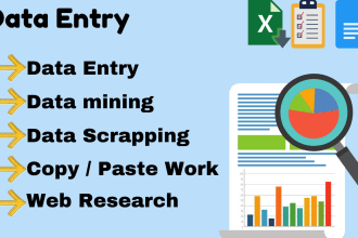 do data entry, data collection and web research
