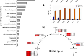 do bioinformatics analysis and data visualization