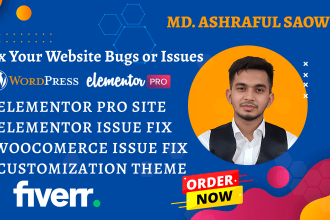 create elementor pro wordpress site and fixing your site bug