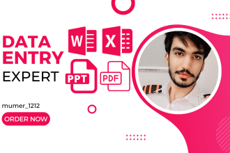 do data entry excel, word, database editing