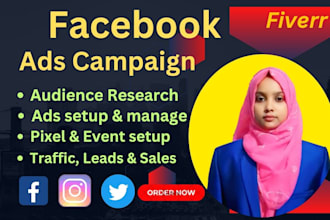 setup and manage facebook ads campaign, instagram ads, fb advertising