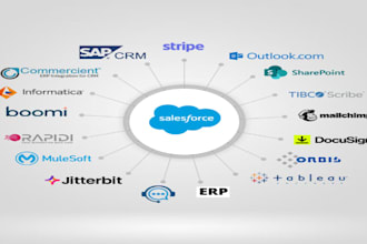 help you with integrate salesforce to third party application