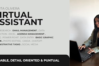 be your professional virtual assistant