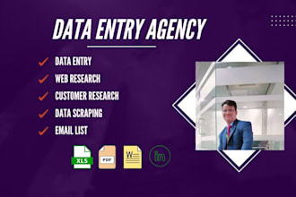 do premium data entry, web research, lead collect