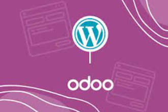 perform wordpress to odoo CRM integration