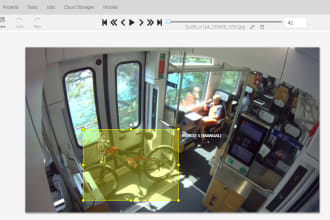 do  annotation, segmentation bounding box and data labeling