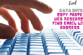 do precise data entry, copy paste, web scrap, PDF to excel