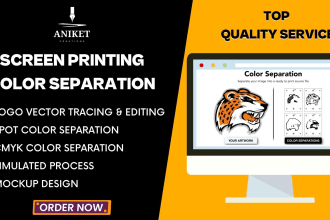 do professional color separation for your screen printing within 24hrs
