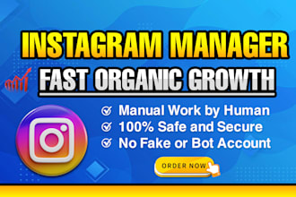 be your instagram manager for organic growth