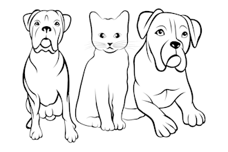 draw black and white line art pets portrait from your photo