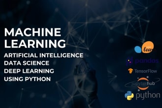 handle ml, data science projects, and python assignments