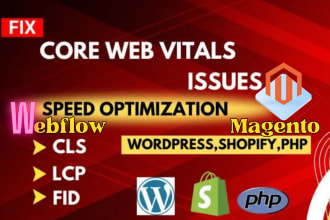 expert to fix core web vitals