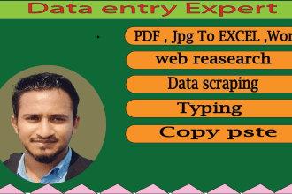 provide file conversion, typing, web research, data entry service