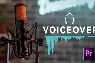do english and hindi voice overs for your videos