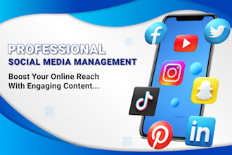 do monthly social media management and create content