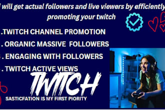 increase followers and live viewers by efficiently promote your twitch channel