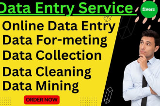 do accurate data entry, copy paste, web research and data formatting