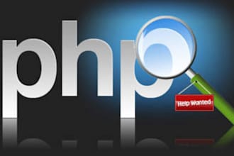 install,fix your wordpress or php script