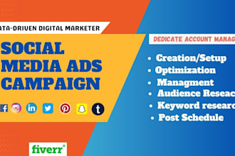 setup and run social media business advertising campaigns