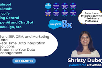 integrate your salesforce with other platforms