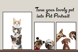 draw awesome pet portraits in 24 hour