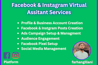 be your facebook and instagram virtual assistant