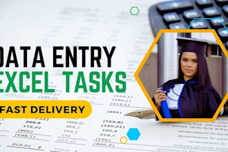 do data entry and PDF to excel tasks