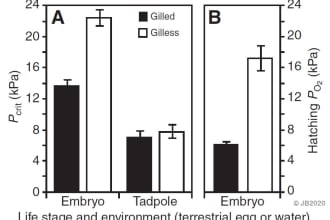 design graphs, figures, charts for publication