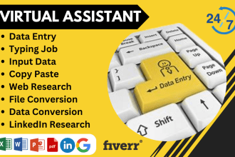 be your virtual assistant for data entry, copy paste, typing, converting files