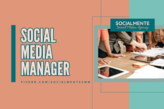 community manager and meta ads manager