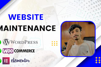 provide maintenance and support for your wordpress website