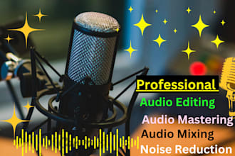 do audio editing, audio mixing, mastering and noise reduction