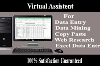 excel data entry, data entry, PDF to excel data entry