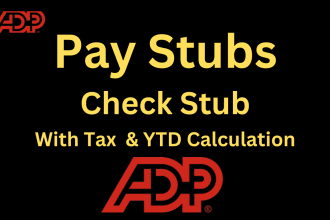 make paystubs, payslip, payroll report and pay stub in 24 hr