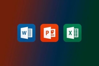 deliver high quality assignments as a professional ms office expert