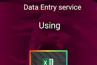 do data entry in excel and word format