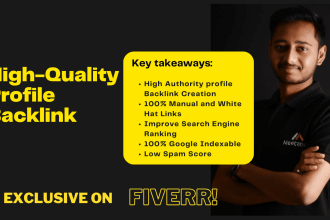 do high quality profile backlink creation for improved SEO