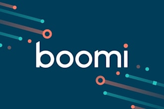 end to end implementation, development and support boomi integration platform