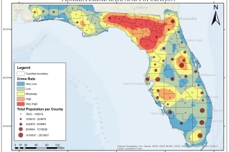 be your gis project helper or tutor