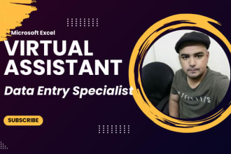 be your data entry operator for data enrichment, ms excel data cleaning work