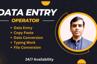 do data entry work and copy paste typing tasks