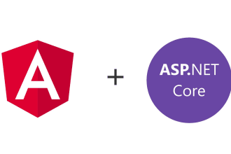 do dotnet with angular custom web application