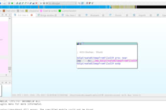 reverse crack any windows application