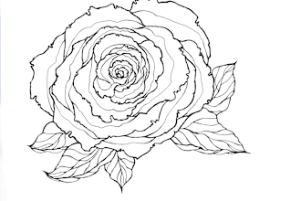 create a beautiful vector art