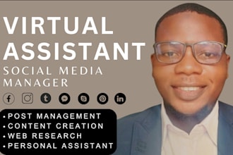 be personal assistant ecommerce virtual assistant personal social media manager